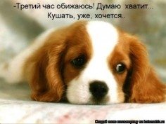p.236.236.0