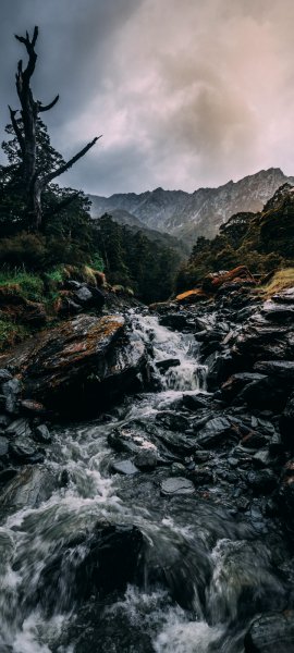 Android Wallpaper (253)