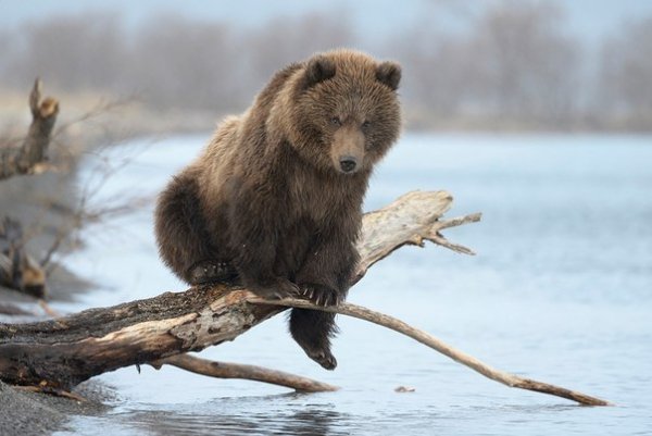 Рыбак
