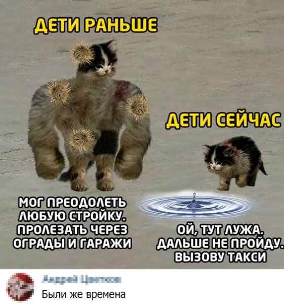 fSOGhMtfh68