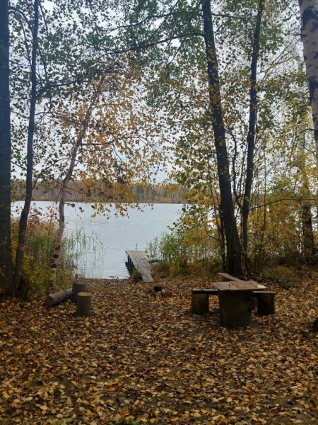 picture_398115362