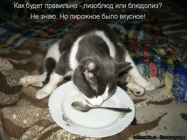 Было вкусное!