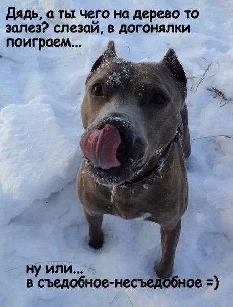 А???