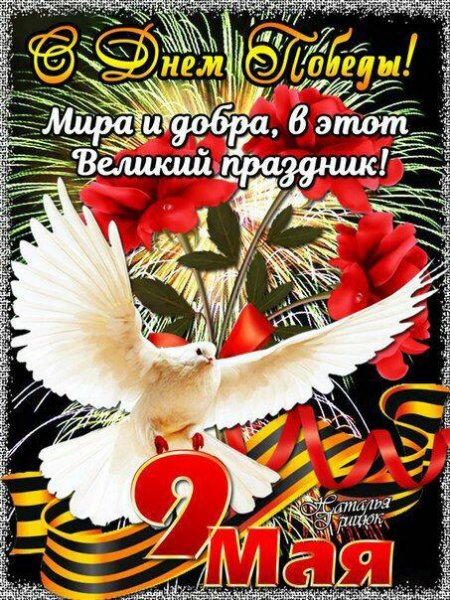 IMG-20190509-WA0016