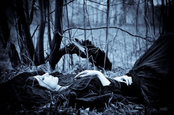 Dream on the forest
