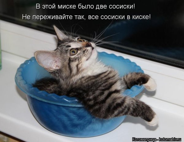 В киске!