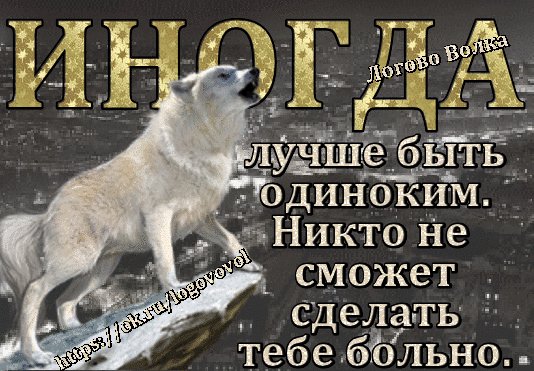 IMG 20181122 075052