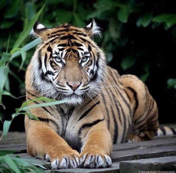 B-Kco9JoCms