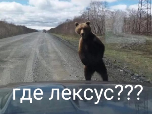 Где же этот Лексус?