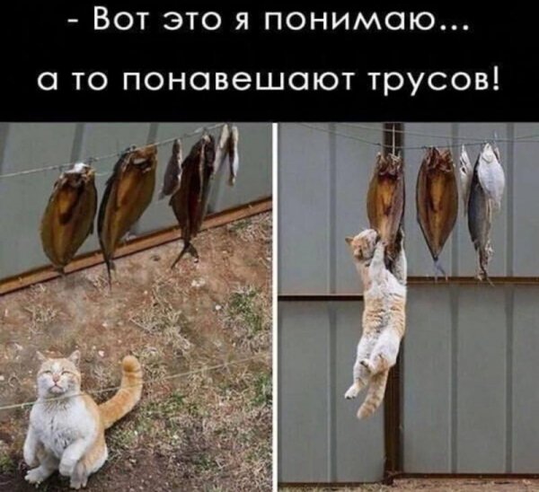 Это точно! ))