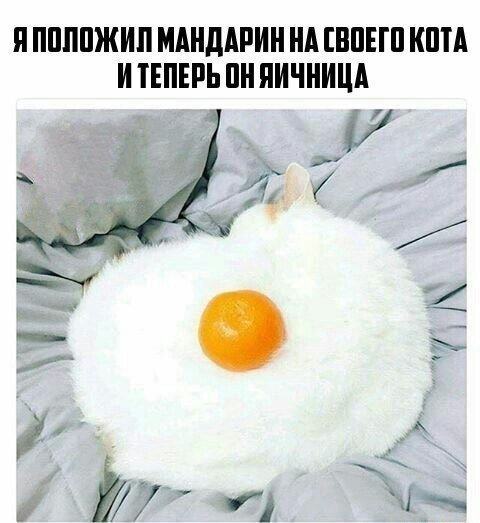яичница