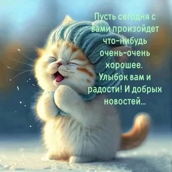 IMG-20250204-WA0010