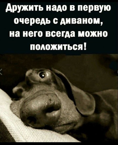 picture_389364902