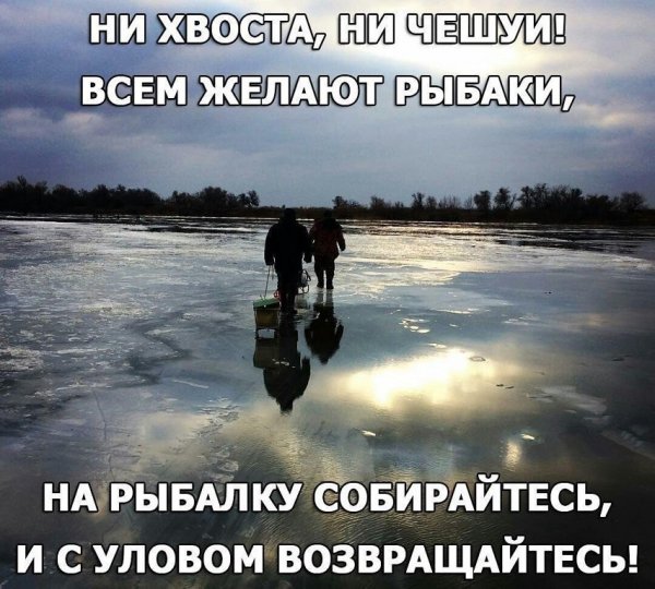 Ни хвоста, ни чешуи!