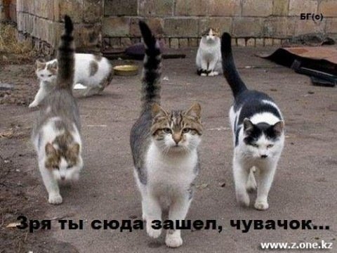 стрелка
