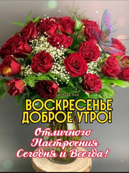 Друзья!