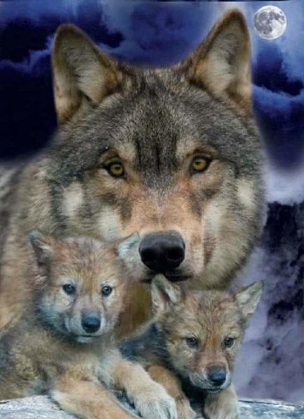IMG 20190510 140228