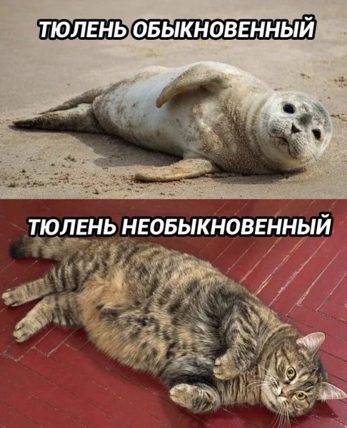 Где-то так... )))