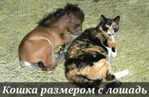IMG 20221215 034259