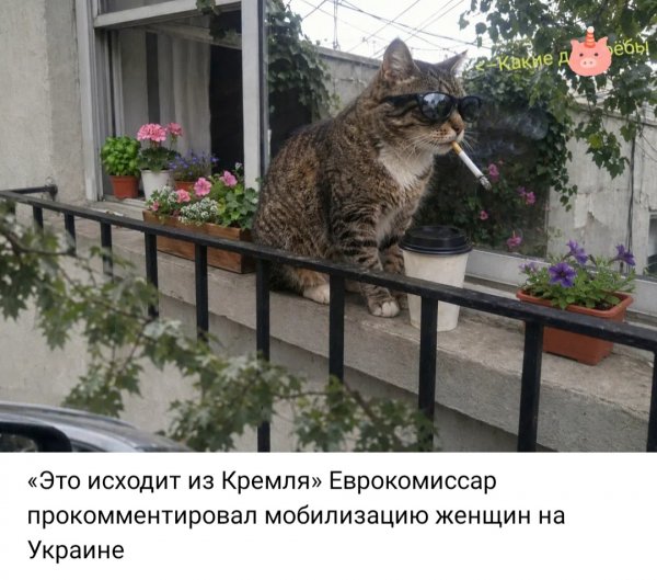 IMG 20260913 094753