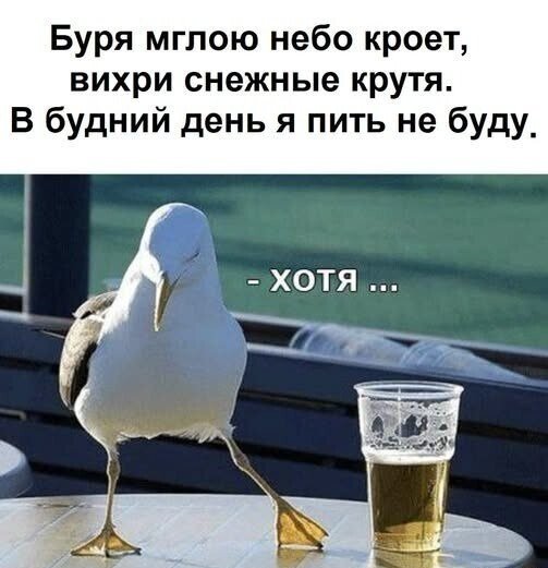 G7p4l1S6Oko