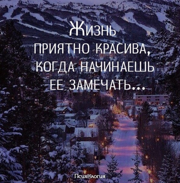 Жизнь...