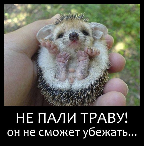 IMG 20251111 164926