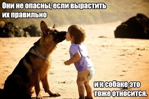 sWYKacj8rQ4