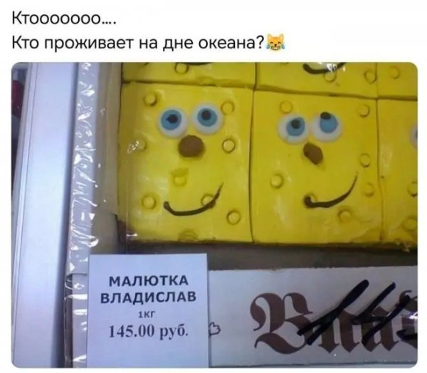picture_419179150