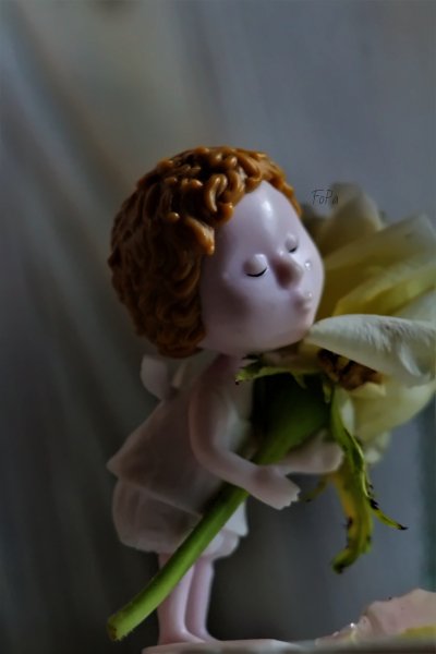 fb IMG 6664 denoise
