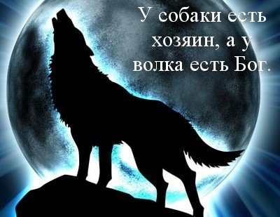Вой