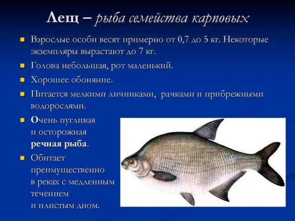 Лещ