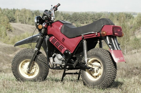 scale 600 (4)