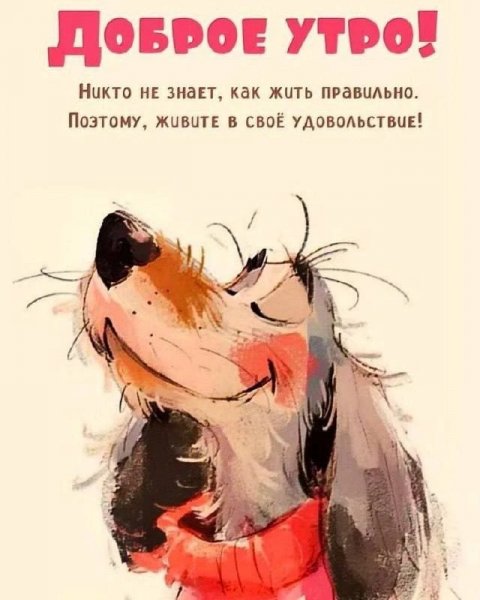 Текст