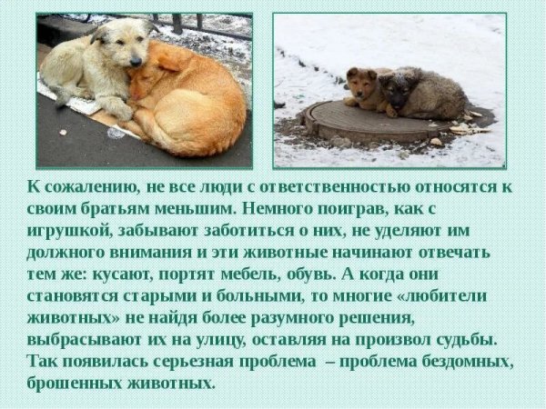 К сожалению...