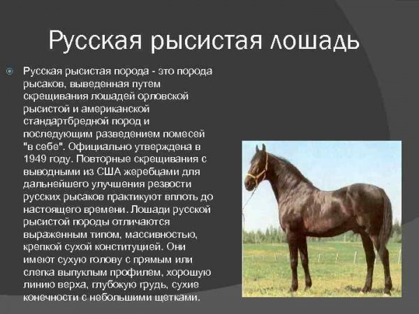 efb356cf4a59d9aae6d742cd2487e