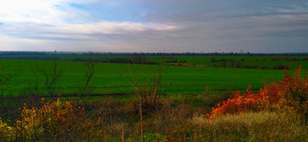 IMG 20201125 120849