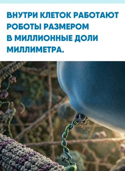 AXiePoPMpRn pt9rbtByqyydTYDvw7a0 KrbA8EVqLJKabDi4haDHV2TtaSt