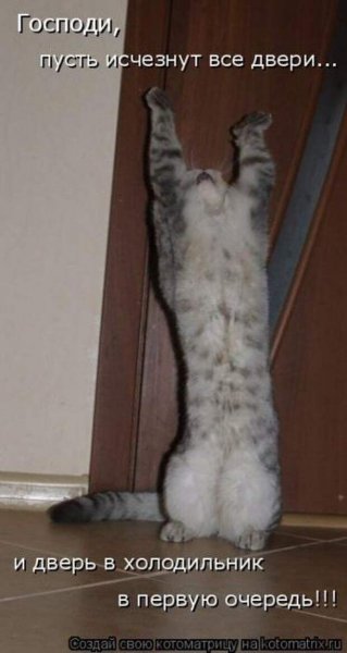 В первую очередь!!!