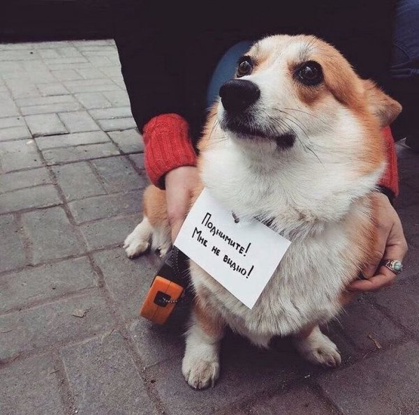 Опаньки!