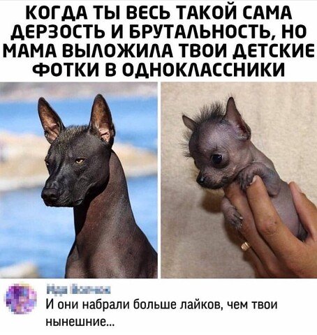 image (3) (4)