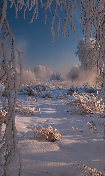 Природа