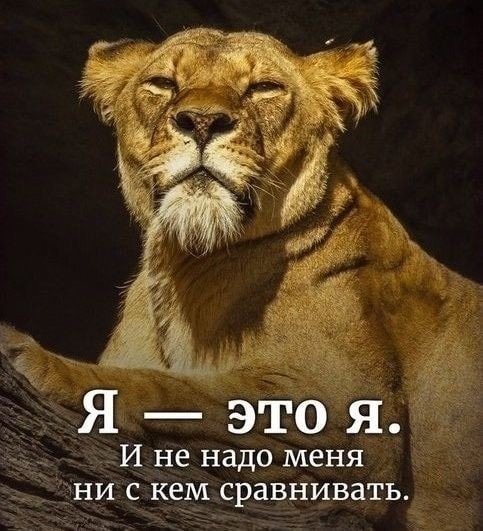 E1Pxk CXSuw