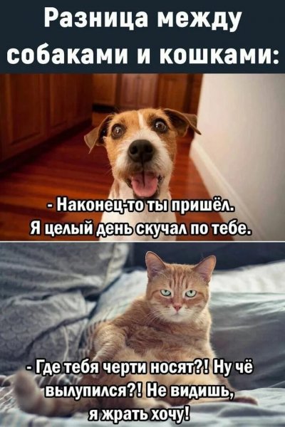 Разница...