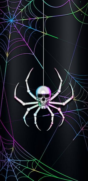 HD wallpaper rainbowspider rainbow spiders spider colourful