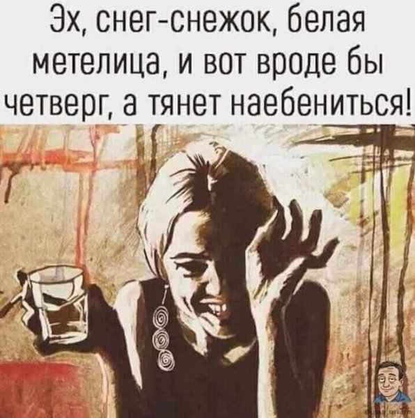 IMG 202948 507