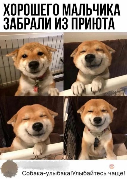 Улыбайтесь чаще!