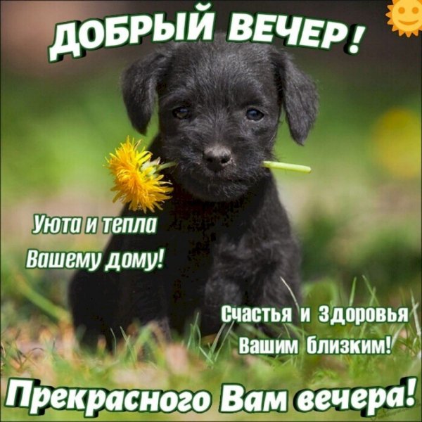 Добрый вечер!