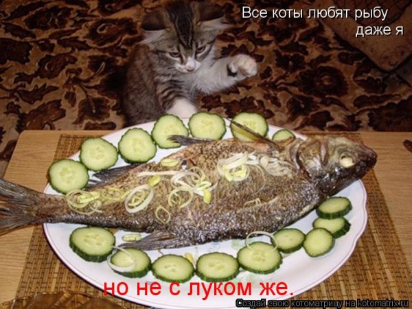 Но не с луком же