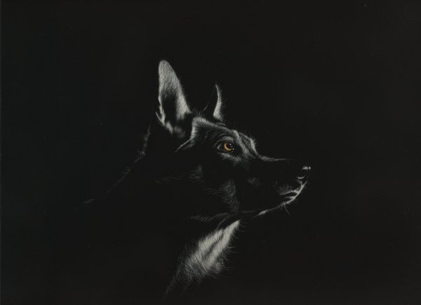 Wolves Painting Art Head Black and white Black 531032 3502x25